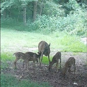 🌹The beauty of life!🌹